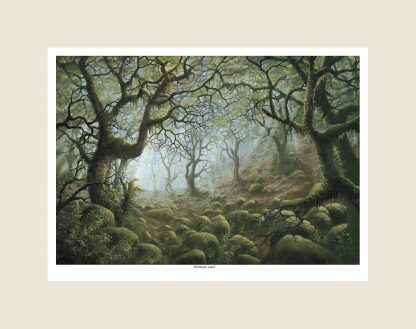 Wistmans Wood Dartmoor