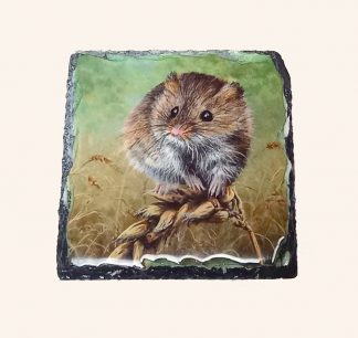 Field Mouse Slate Coaster